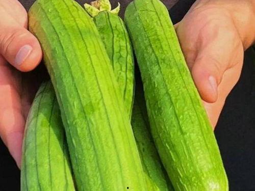 安康吃瓜,揭秘当地特色美食背后的故事