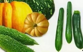 吃瓜有什么分类,揭秘各类“瓜”的奥秘与分类