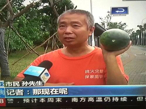 砀山吃瓜群众事件,一场网络舆论的风暴与反思