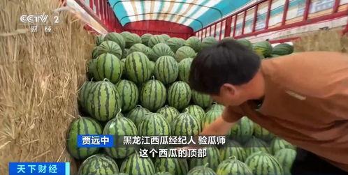 网络吃瓜员,揭秘娱乐圈幕后真相