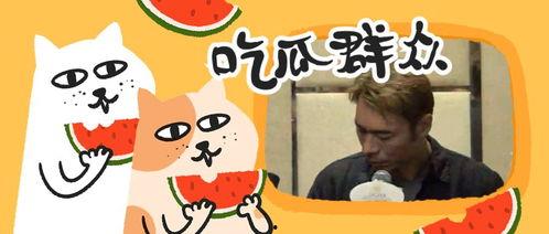 吃瓜群聊162299,一场全民参与的趣味盛宴