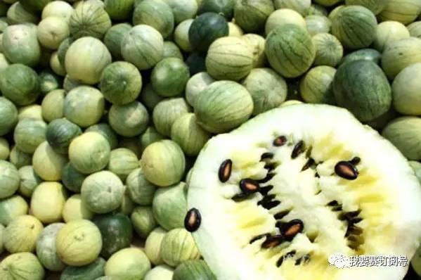 中国速度吃瓜,见证时代变迁的“瓜界”风云