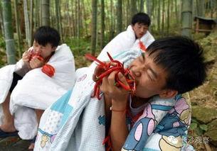 裹棉被吃瓜,裹棉被吃瓜的温馨时光