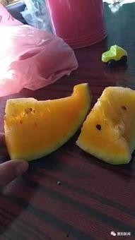 信瓜怎么吃,轻松掌握美味瓜果的打开方式