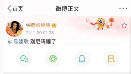 吃瓜蹭流量视频,揭秘吃瓜蹭流量视频的火爆背后