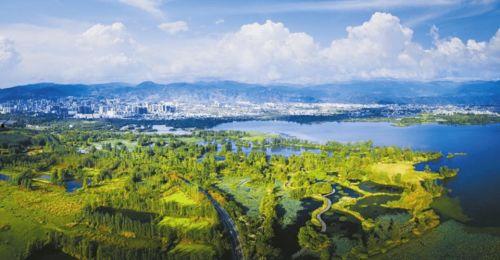 西昌月亮湖吃瓜事件,一场网络热议的美食与争议