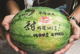 景区免费吃瓜,景区免费瓜果盛宴等你来享