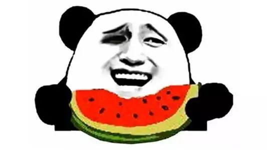 吃瓜群众 猜动物,趣味横生的动物猜想