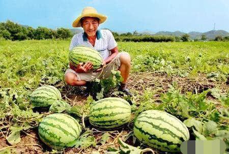 路边吃瓜场景,邻里闲话家常