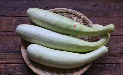 100块买瓜吃,100块买瓜的甜蜜之旅