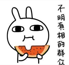 搞笑吃瓜的群名称,揭秘网络社交圈的欢乐盛宴