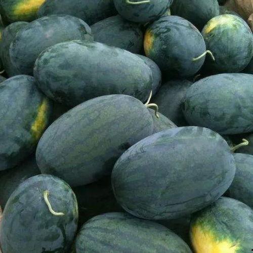 永德宝邸吃瓜,揭秘吃瓜群众的狂欢盛宴