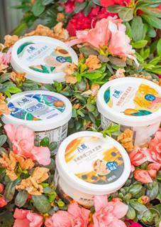 吃瓜冰淇淋事件,揭秘网络热议背后的真相与反思