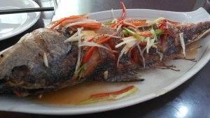 糟瓜鱼怎么吃,探索传统与创新烹饪方法