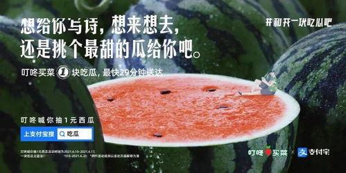 吃瓜吃饼文案短句子,轻松一刻，笑谈人生