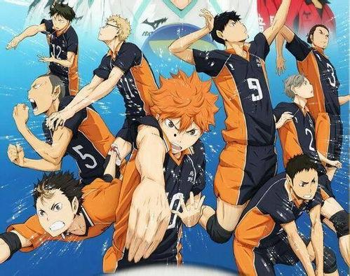 吃瓜排球少年,梦想与激情的青春竞技之旅