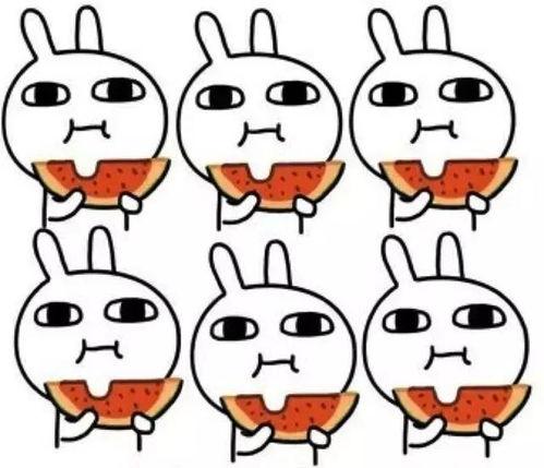 吃瓜成仙,揭秘瓜界传奇的奇幻之旅