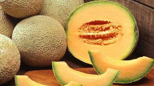 卡尔吃哈密瓜,一场甜蜜的夏日邂逅