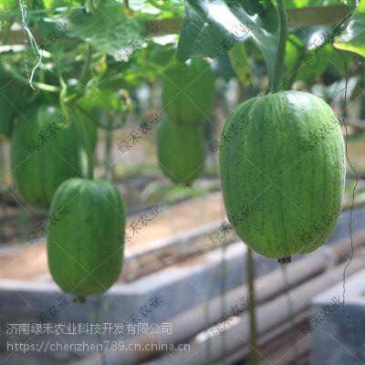 什么叫吃瓜短视频,网络时代的娱乐风向标