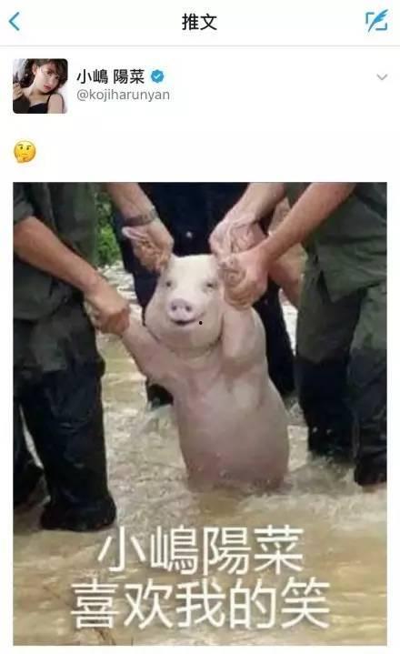 群猪吃瓜,揭秘农场里的欢乐时光