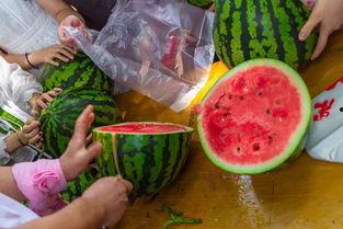 中山最新吃瓜视频,揭秘当地热门事件幕后真相