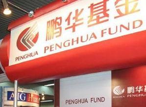 鹏华基金吃瓜,揭秘基金行业背后的“瓜田”