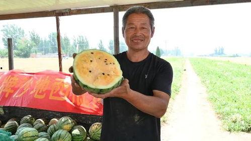 高阳最新吃瓜爆料,娱乐圈风云再起，神秘事件背后真相揭晓