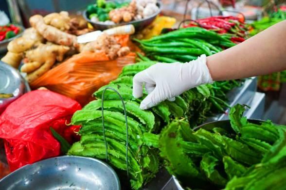 三亚新厂吃瓜280 天,280天见证瓜果丰收奇迹之旅”