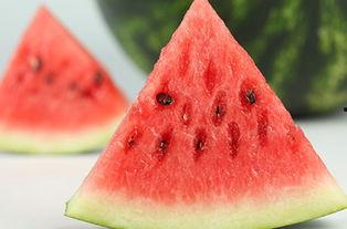 大连摩友吃瓜,一场“吃瓜”引发的骑行圈热议事件