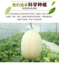 台州吃瓜君,揭秘台州美食背后的故事