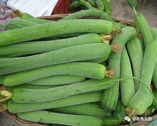 喜欢因为吃瓜可以,揭秘娱乐圈的甜蜜与苦涩