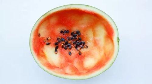 佳木斯吃瓜事件真相